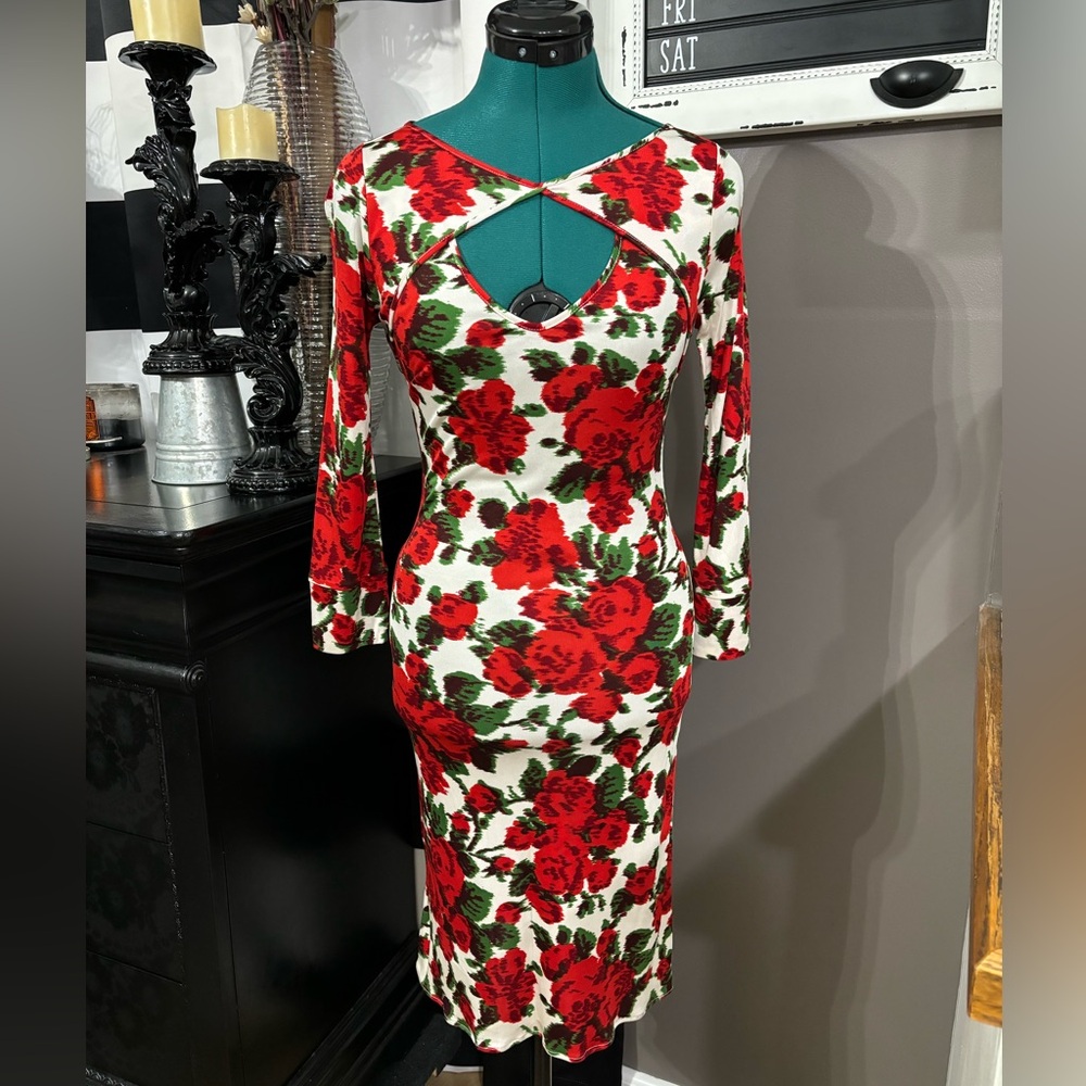 ❤️HP Jules Reid roses silk dress